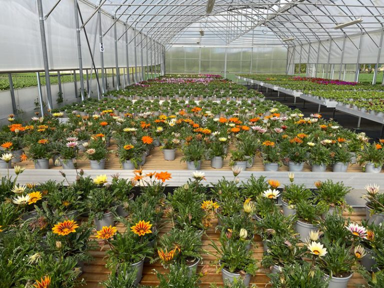 Val tijdens werk: onduidelijkheid over toedracht komt voor risico van werkgever